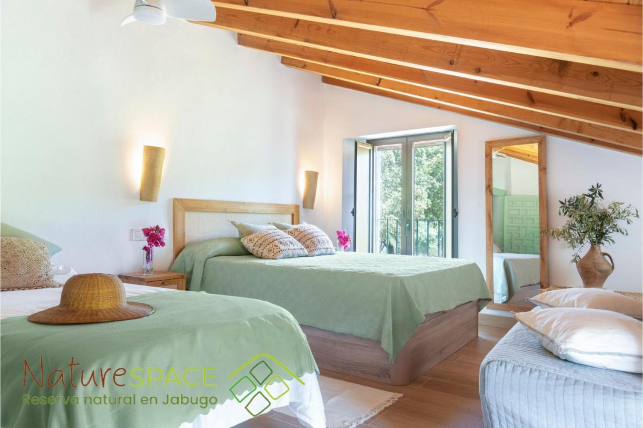 Mentha Nature Space Chalet Jabugo