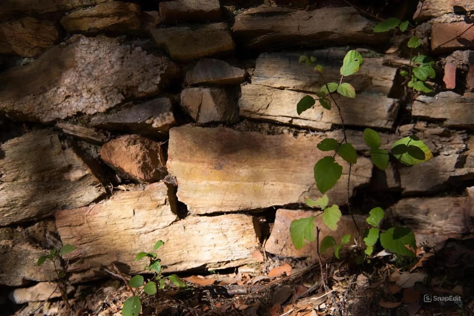 Mentha Nature Space Xalet Jabugo