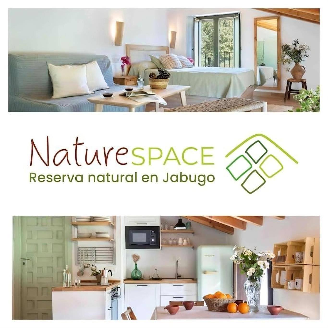 Mentha Nature Space